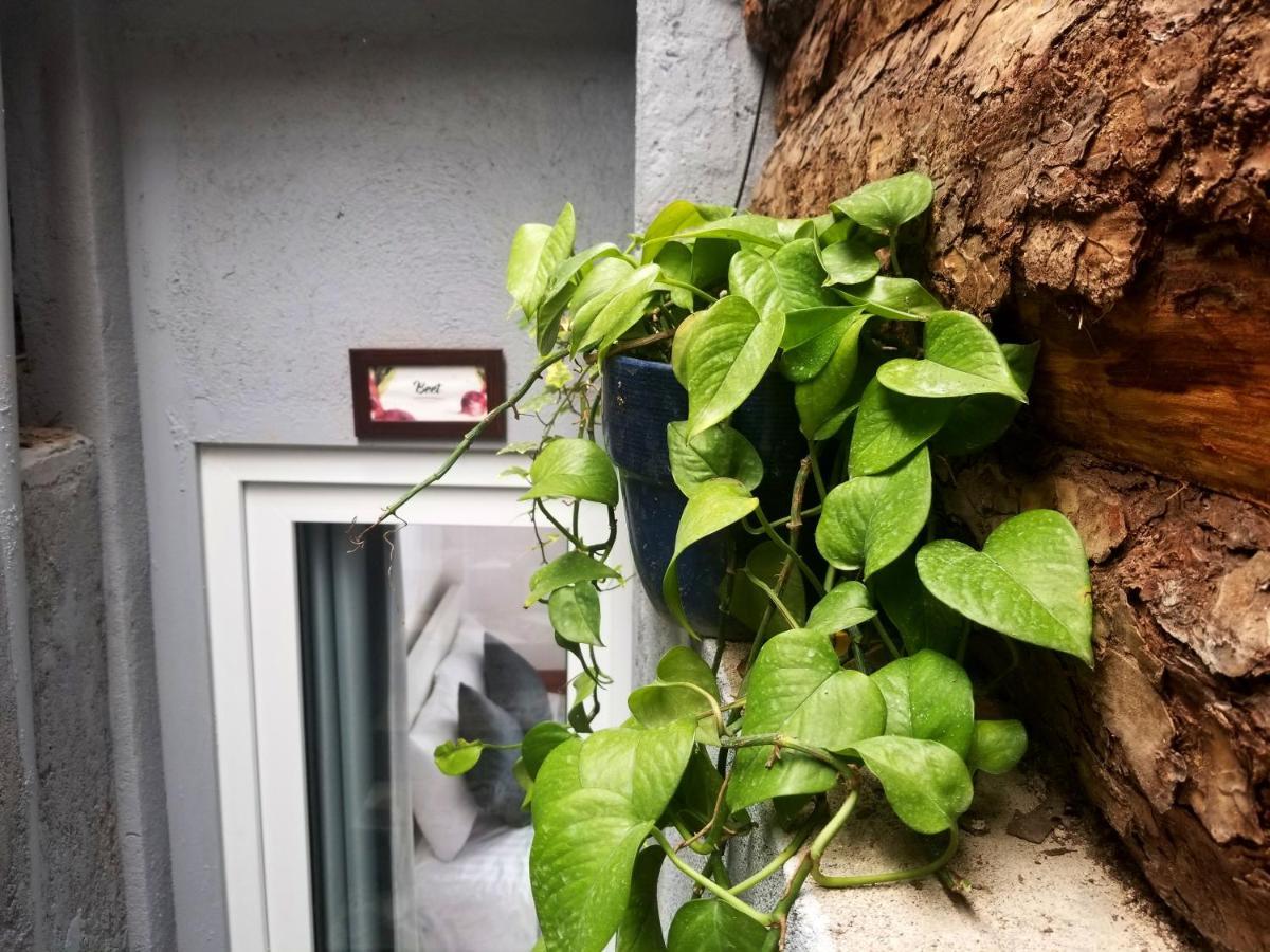 Ribe'S House Daire Da Lat Dış mekan fotoğraf
