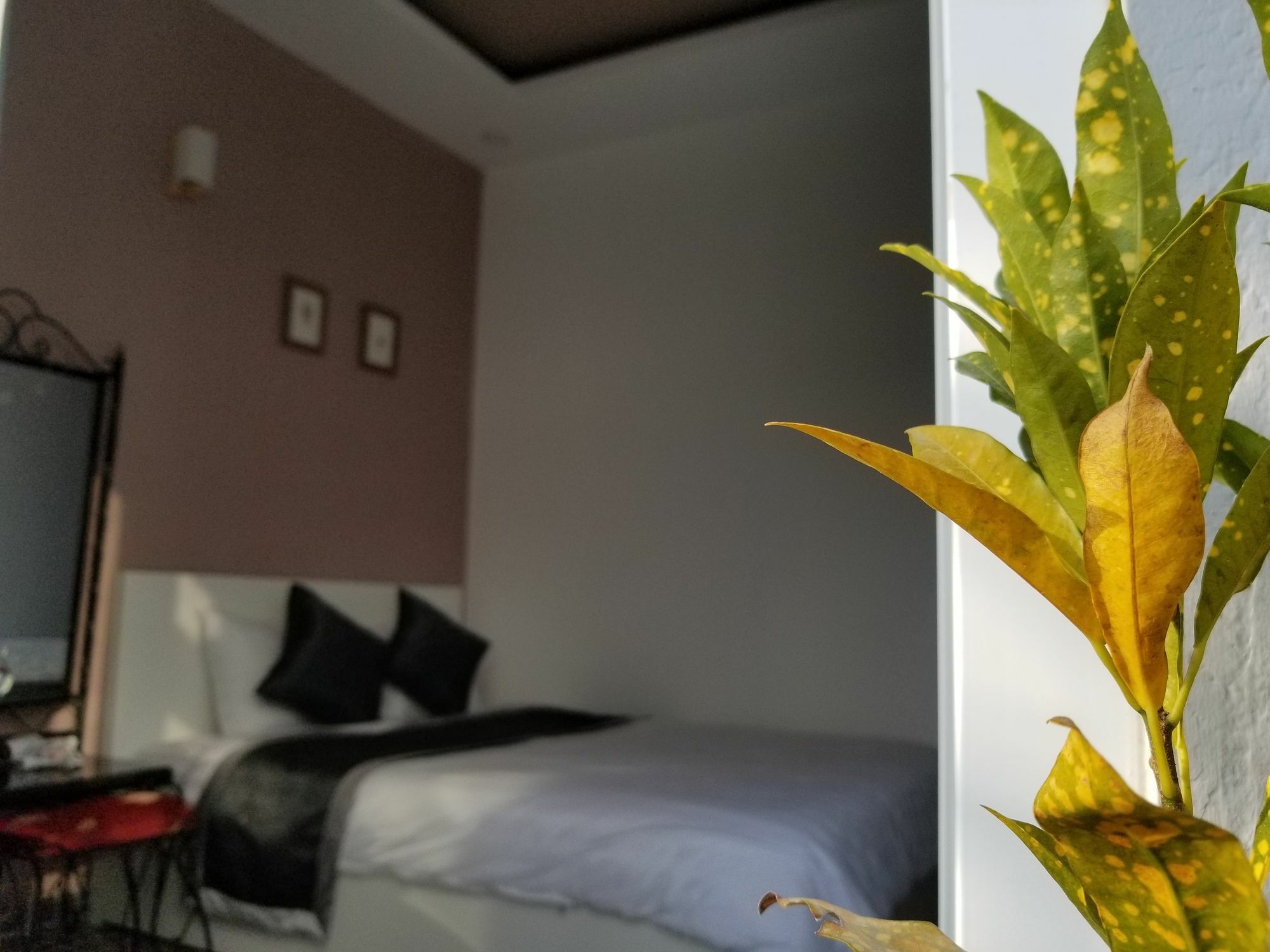 Ribe'S House Daire Da Lat Dış mekan fotoğraf